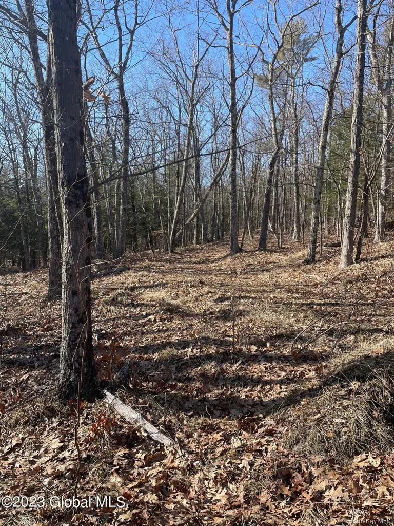 L26 & L27 Ecker Hollow Road Cobleskill, NY 12043