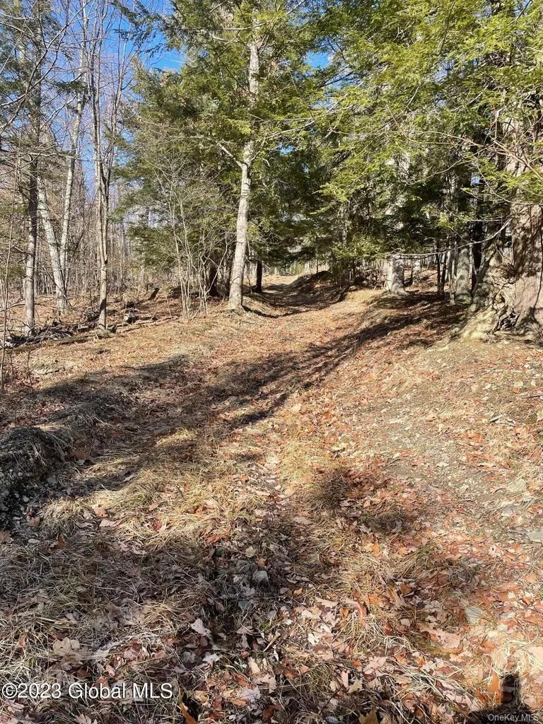 L26 & L27 Ecker Hollow Road Cobleskill, NY 12043