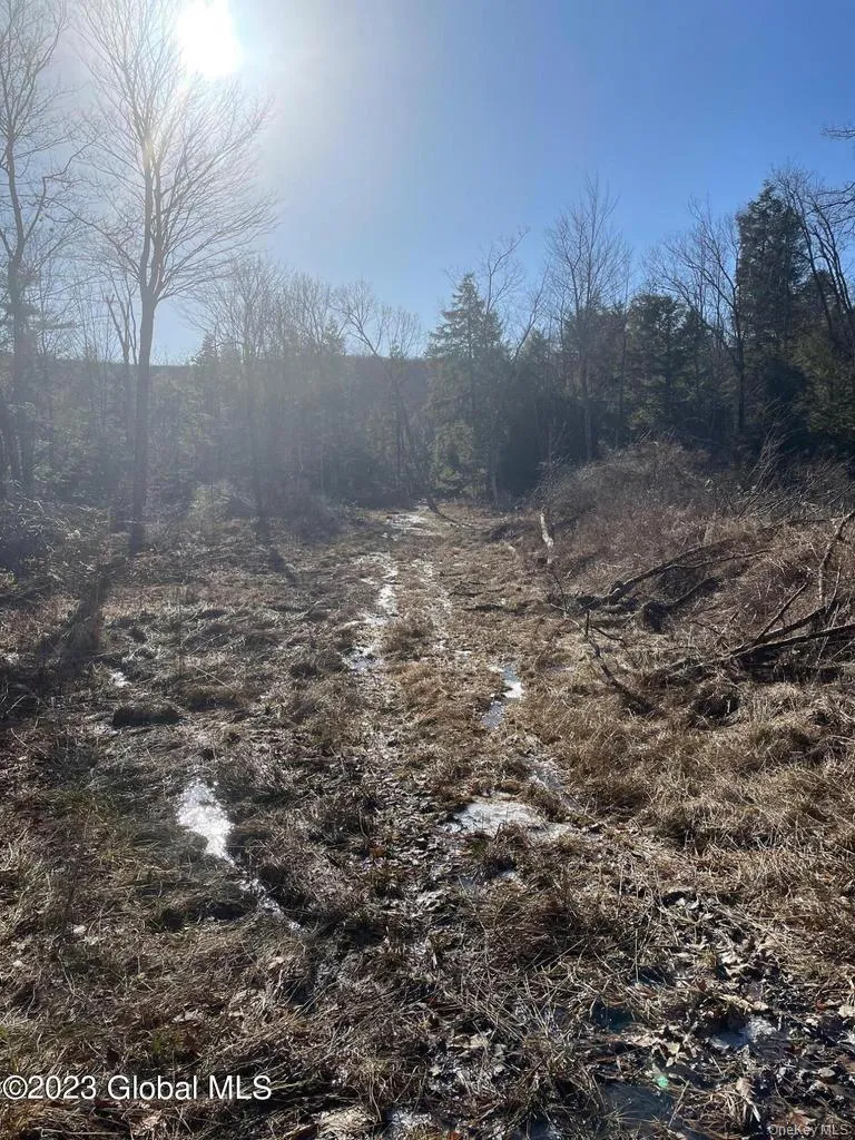 L26 & L27 Ecker Hollow Road Cobleskill, NY 12043