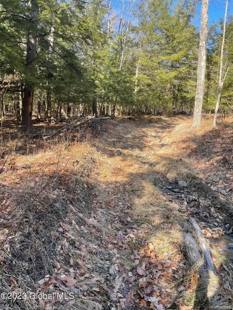 L26 & L27 Ecker Hollow Road Cobleskill, NY 12043