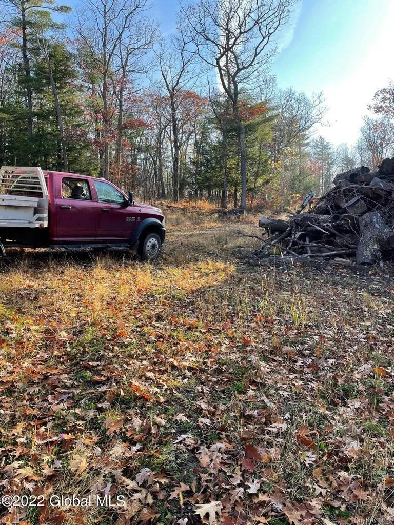 L26 & L27 Ecker Hollow Road Cobleskill, NY 12043