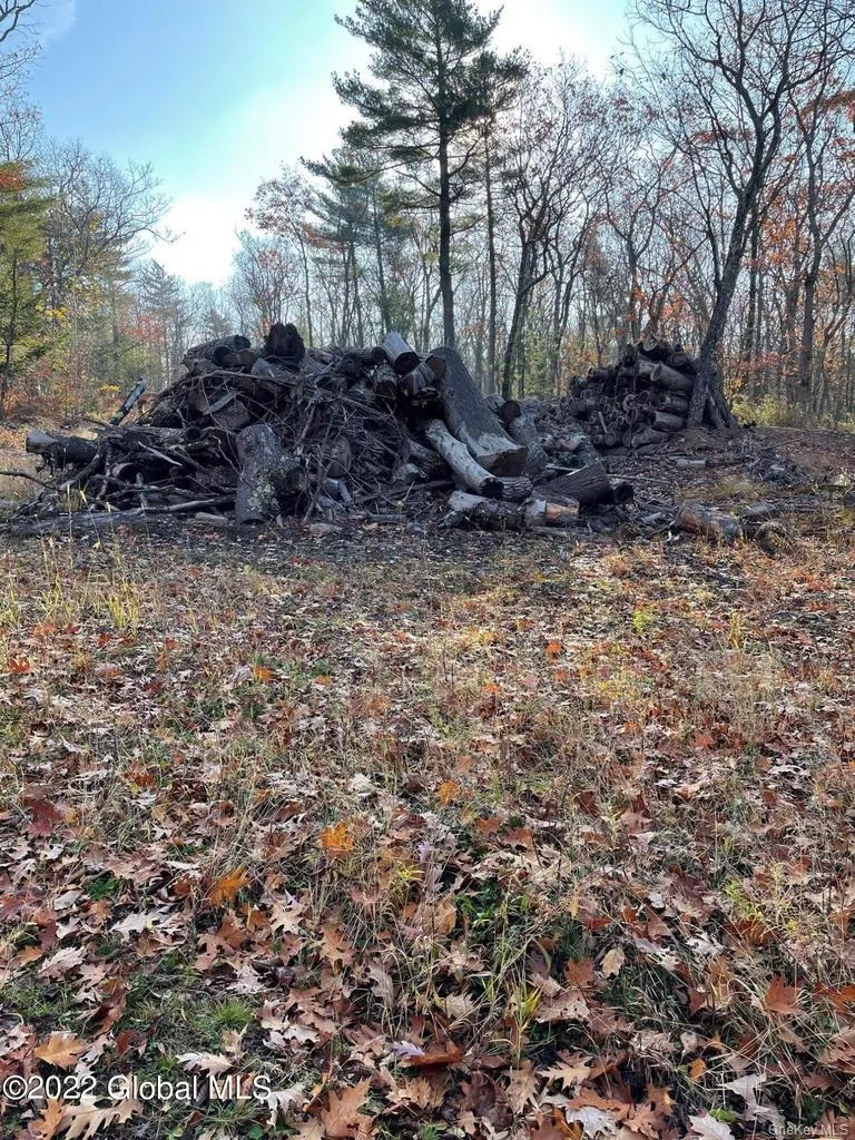 L26 & L27 Ecker Hollow Road Cobleskill, NY 12043