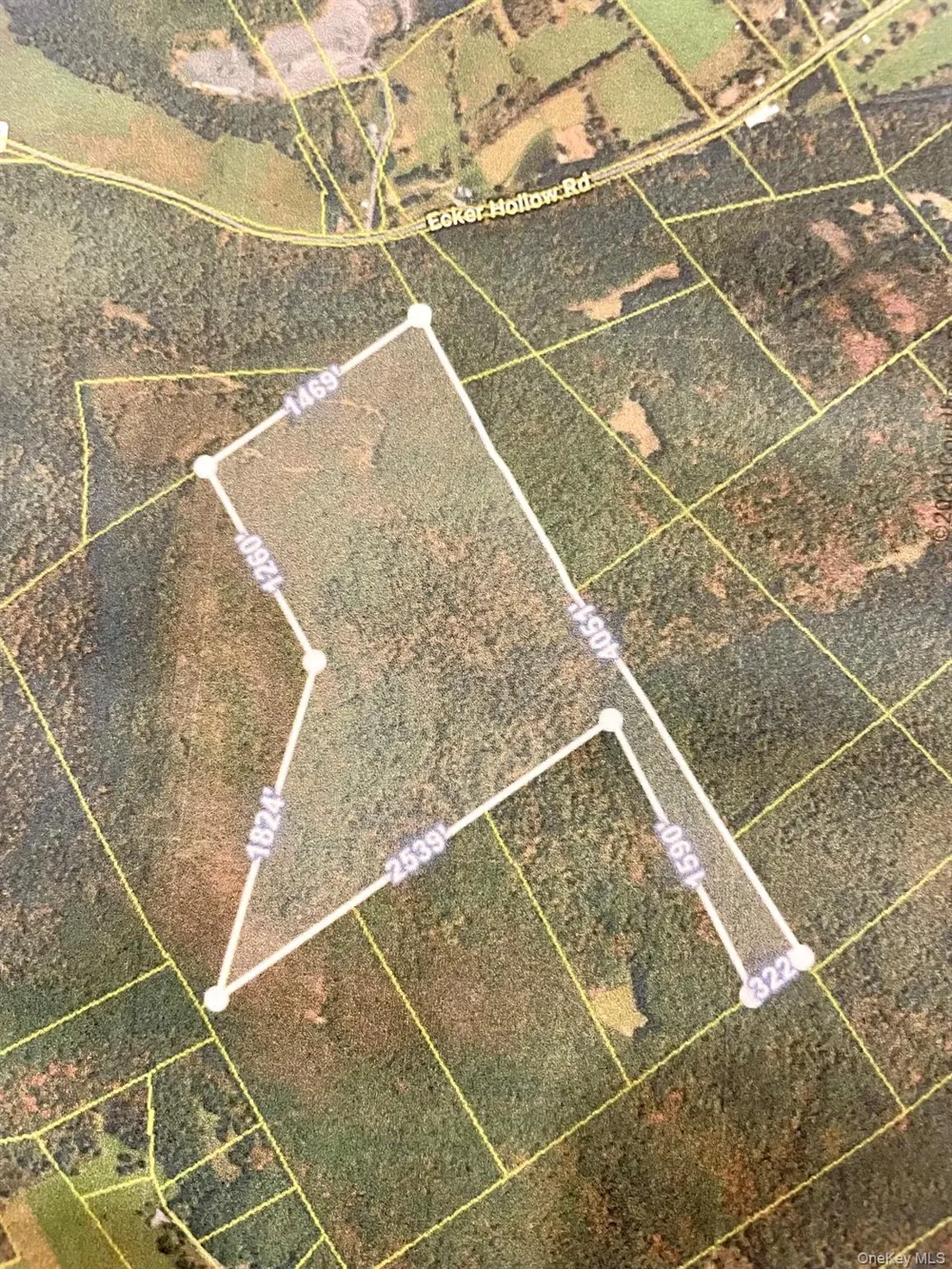 L26 & L27 Ecker Hollow Road Cobleskill, NY 12043