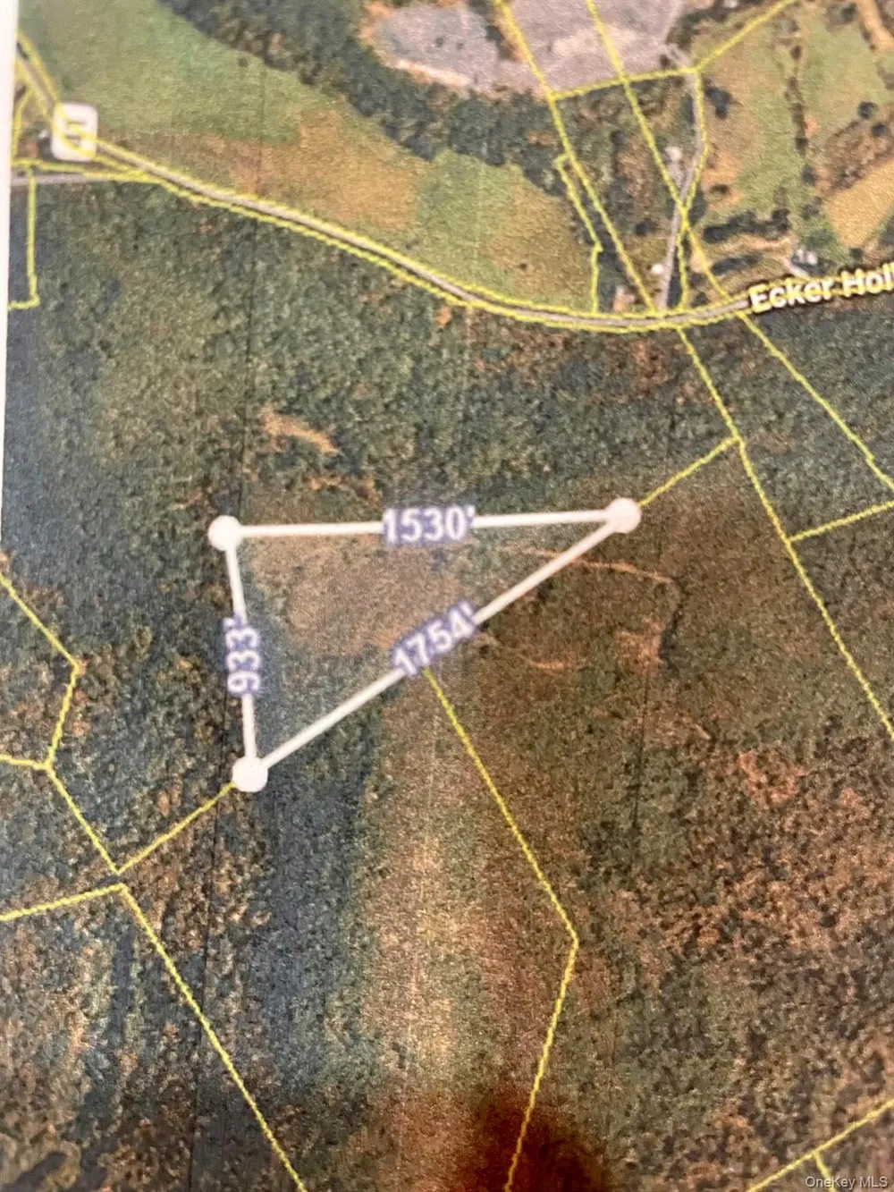 L26 & L27 Ecker Hollow Road Cobleskill, NY 12043
