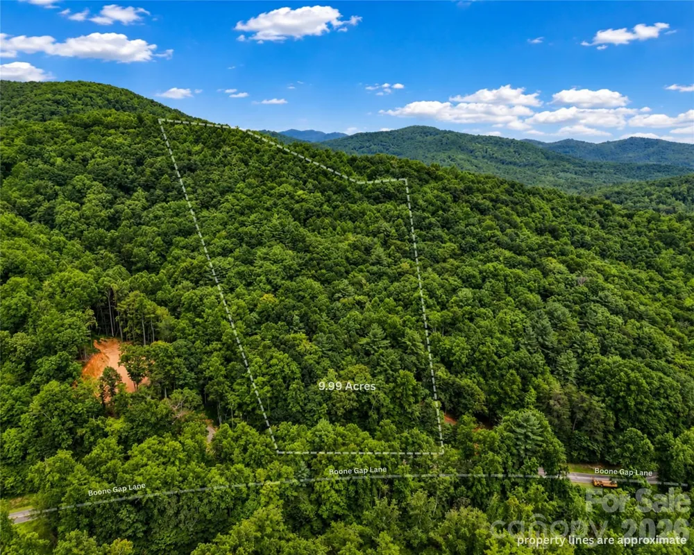 00-00 (9.99 Acres) Boone Gap Lane #Tract-2/BLOCK 1218 Taylorsville, NC 28681