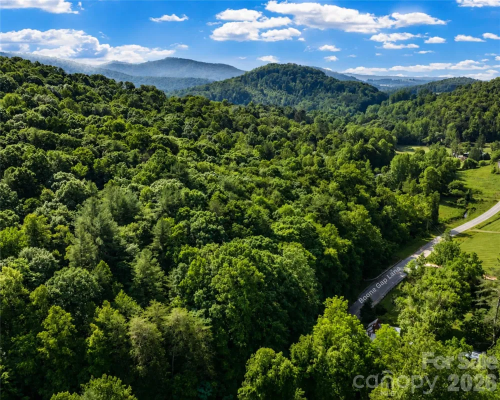 00-00 (9.99 Acres) Boone Gap Lane #Tract-2/BLOCK 1218 Taylorsville, NC 28681