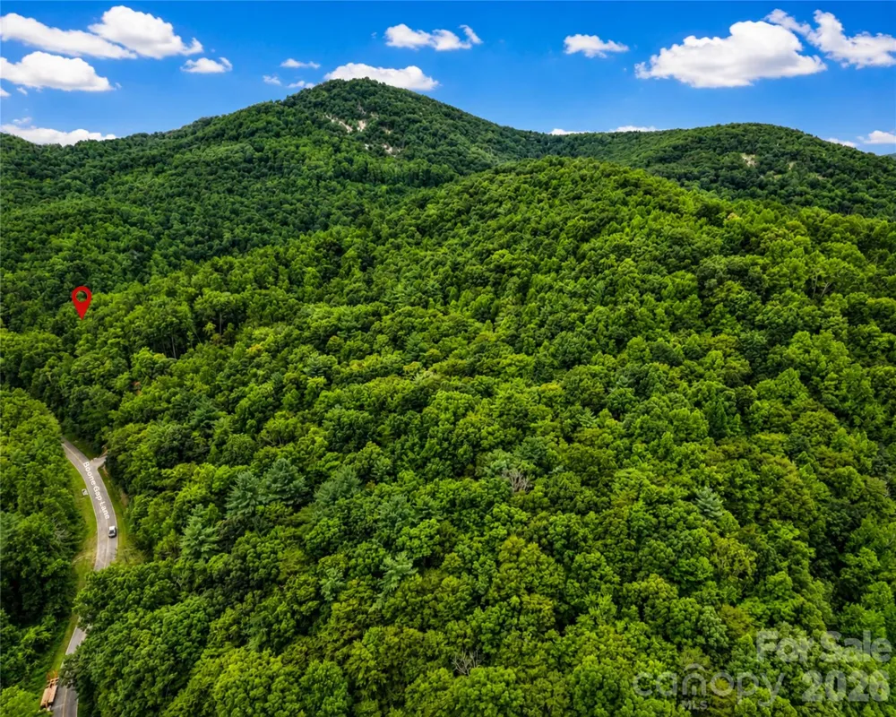 00-00 (9.99 Acres) Boone Gap Lane #Tract-2/BLOCK 1218 Taylorsville, NC 28681