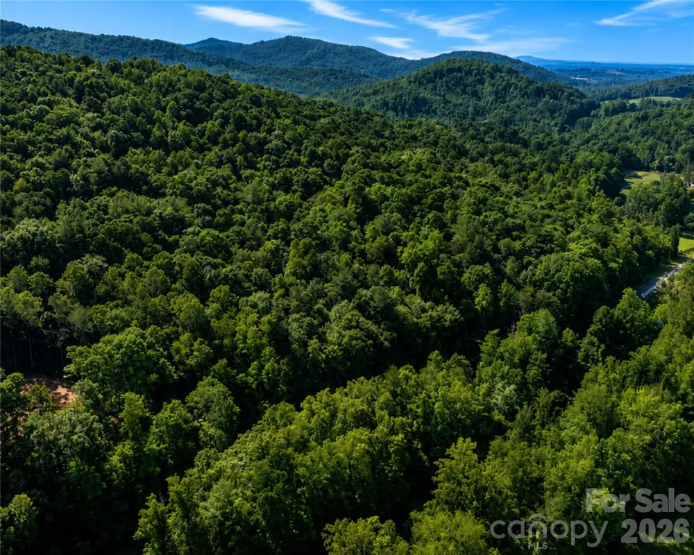 00-00 (9.99 Acres) Boone Gap Lane #Tract-2/BLOCK 1218 Taylorsville, NC 28681