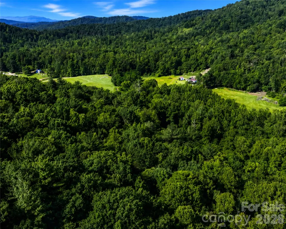 00-00 (9.99 Acres) Boone Gap Lane #Tract-2/BLOCK 1218 Taylorsville, NC 28681