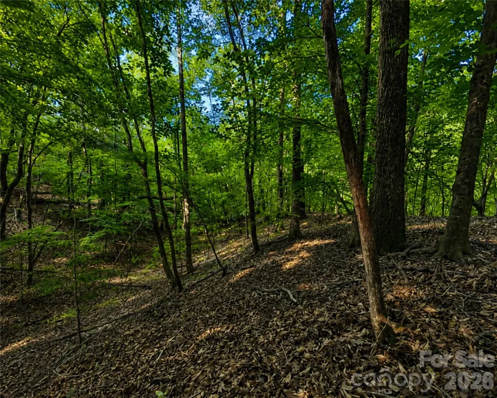 00-00 (9.99 Acres) Boone Gap Lane #Tract-2/BLOCK 1218 Taylorsville, NC 28681