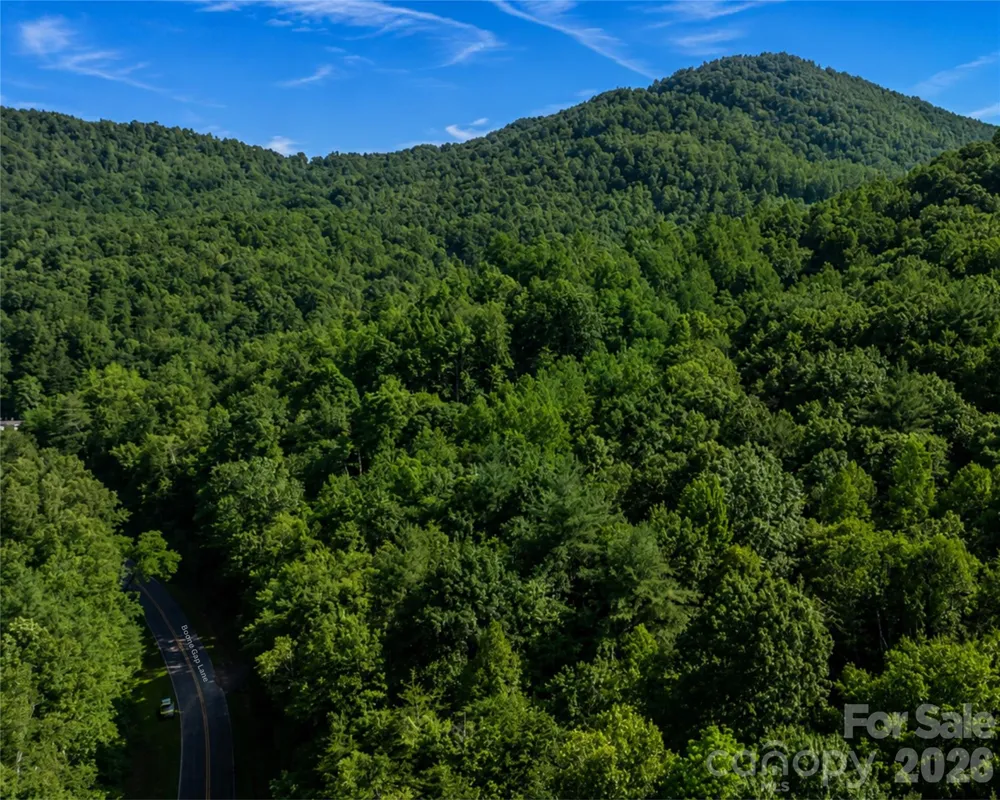 00-00 (9.99 Acres) Boone Gap Lane #Tract-2/BLOCK 1218 Taylorsville, NC 28681