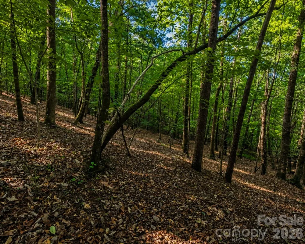 00-00 (9.99 Acres) Boone Gap Lane #Tract-2/BLOCK 1218 Taylorsville, NC 28681