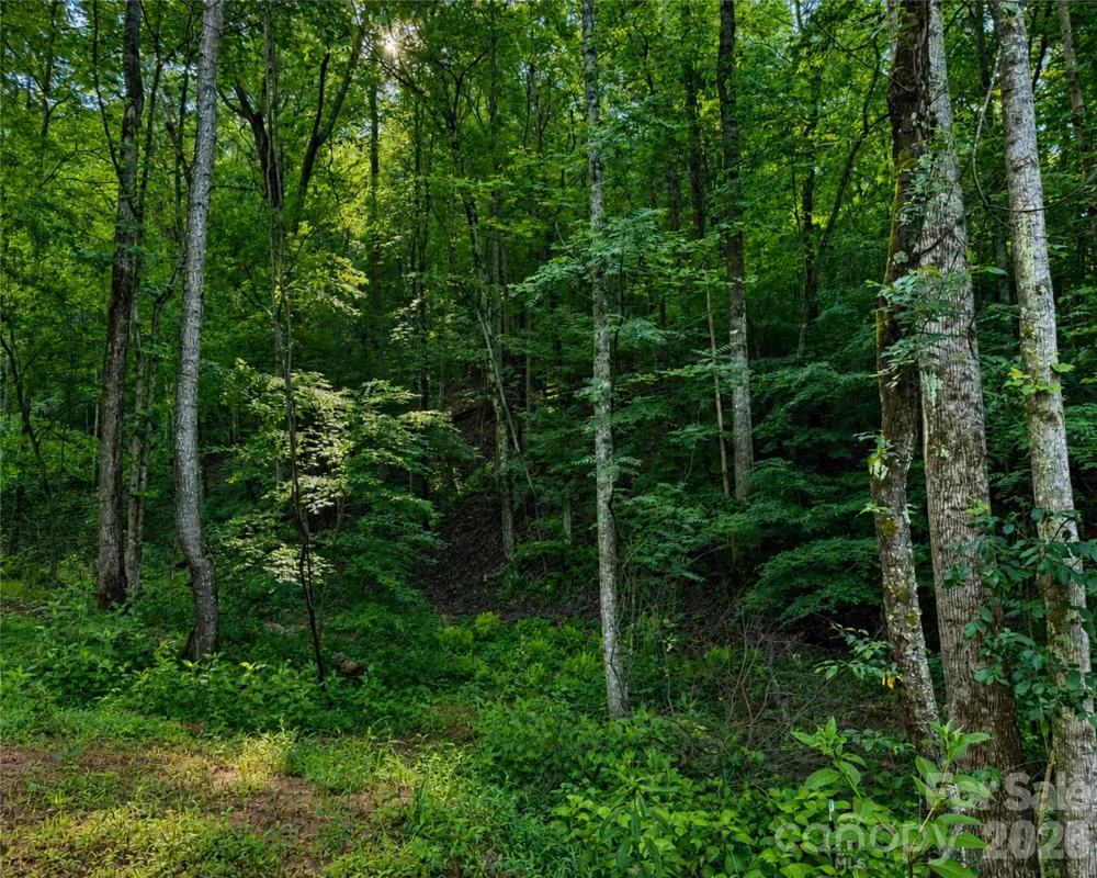 00-00 (9.99 Acres) Boone Gap Lane #Tract-2/BLOCK 1218 Taylorsville, NC 28681