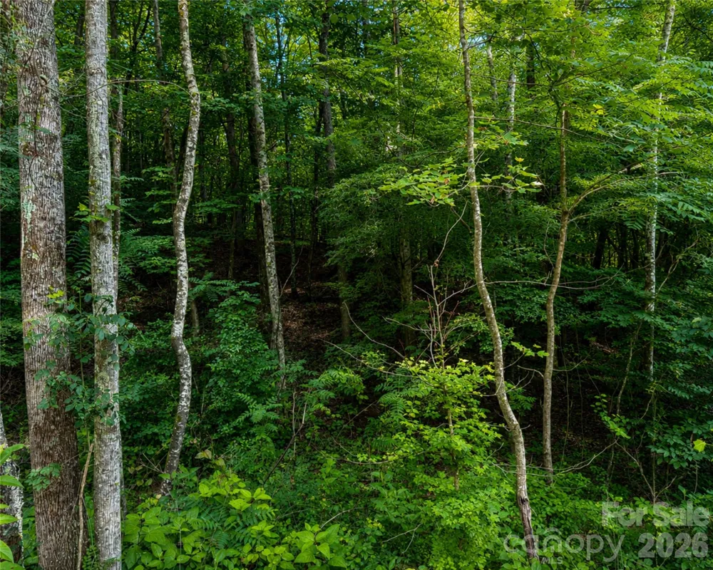 00-00 (9.99 Acres) Boone Gap Lane #Tract-2/BLOCK 1218 Taylorsville, NC 28681
