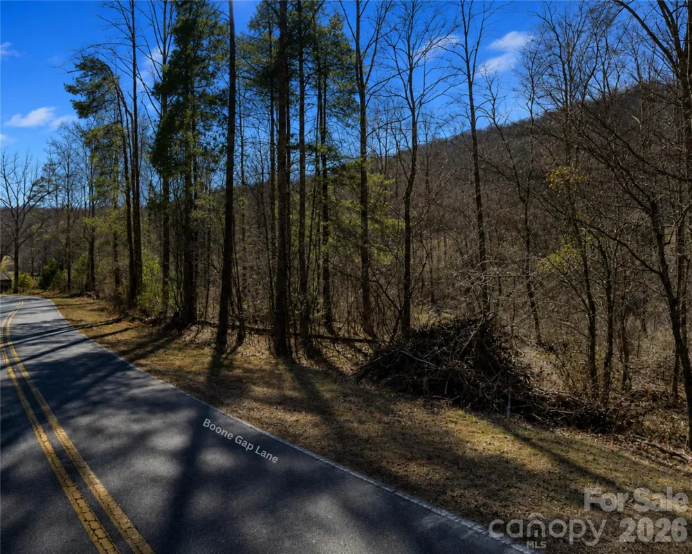 00-00 (9.99 Acres) Boone Gap Lane #Tract-2/BLOCK 1218 Taylorsville, NC 28681