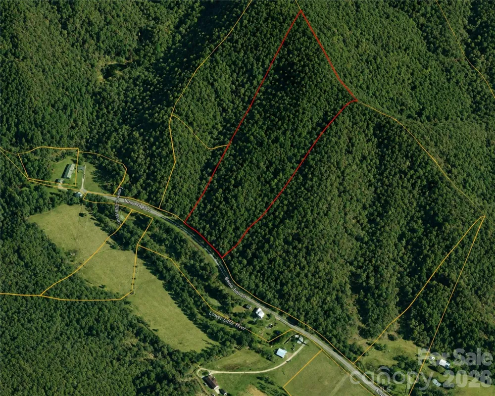 00-00 (9.99 Acres) Boone Gap Lane #Tract-2/BLOCK 1218 Taylorsville, NC 28681