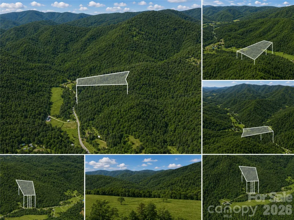 00-00 (9.99 Acres) Boone Gap Lane #Tract-2/BLOCK 1218 Taylorsville, NC 28681