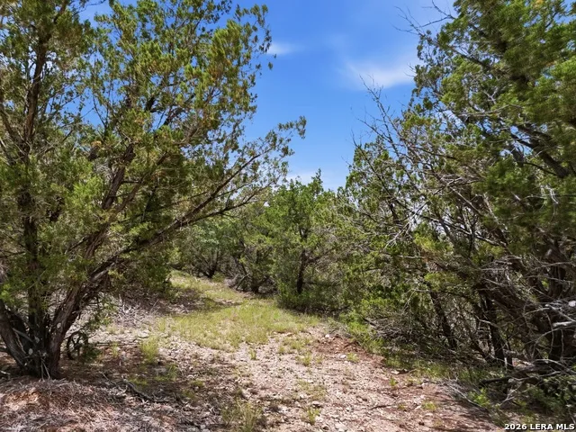 20 Winchester Leakey, TX 78873