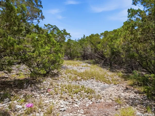 20 Winchester Leakey, TX 78873