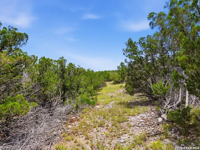 20 Winchester Leakey, TX 78873