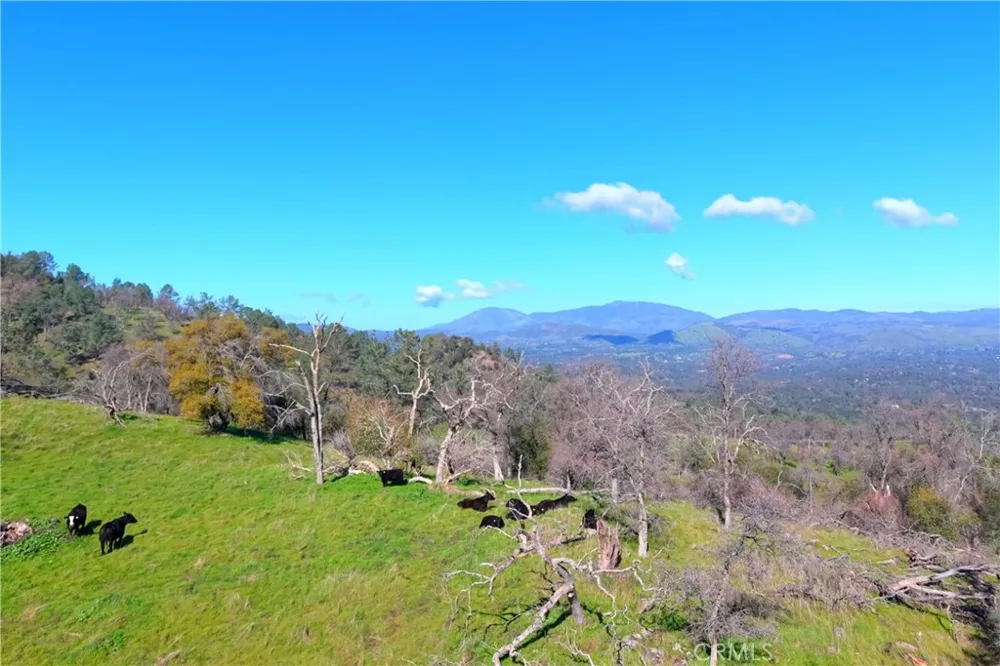 3729 Ben Hur Road Mariposa, CA 95338