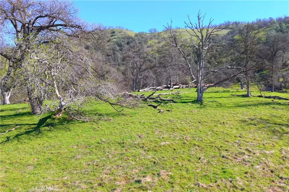 3729 Ben Hur Road Mariposa, CA 95338