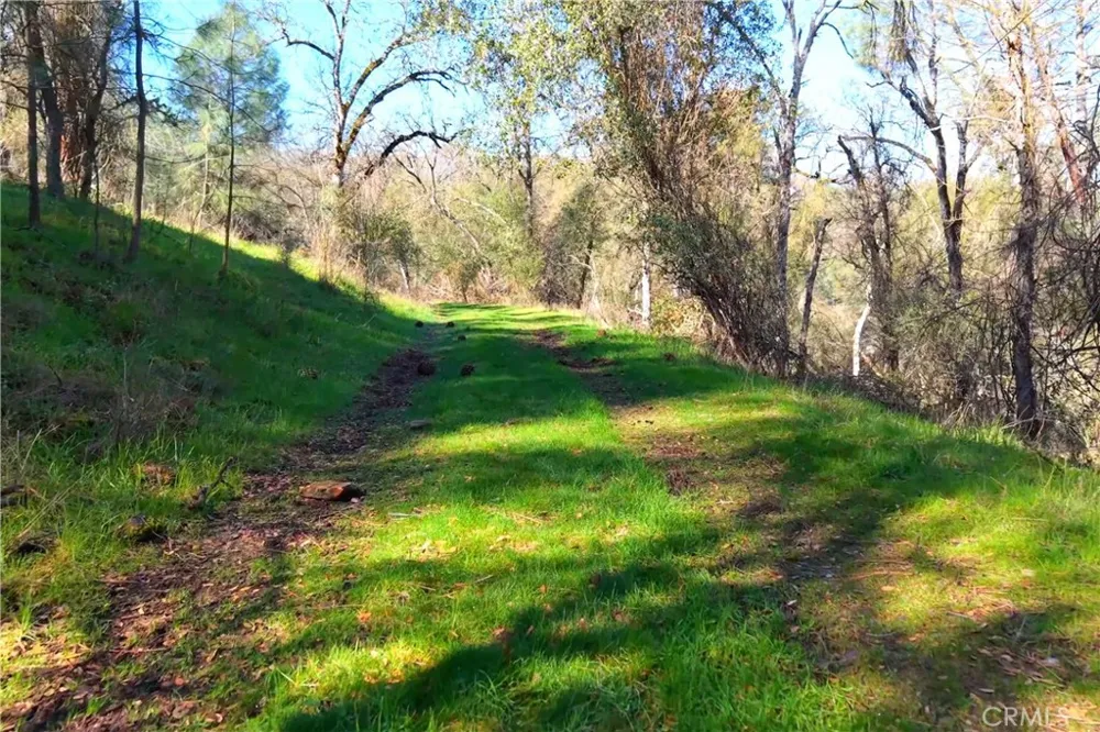 3729 Ben Hur Road Mariposa, CA 95338