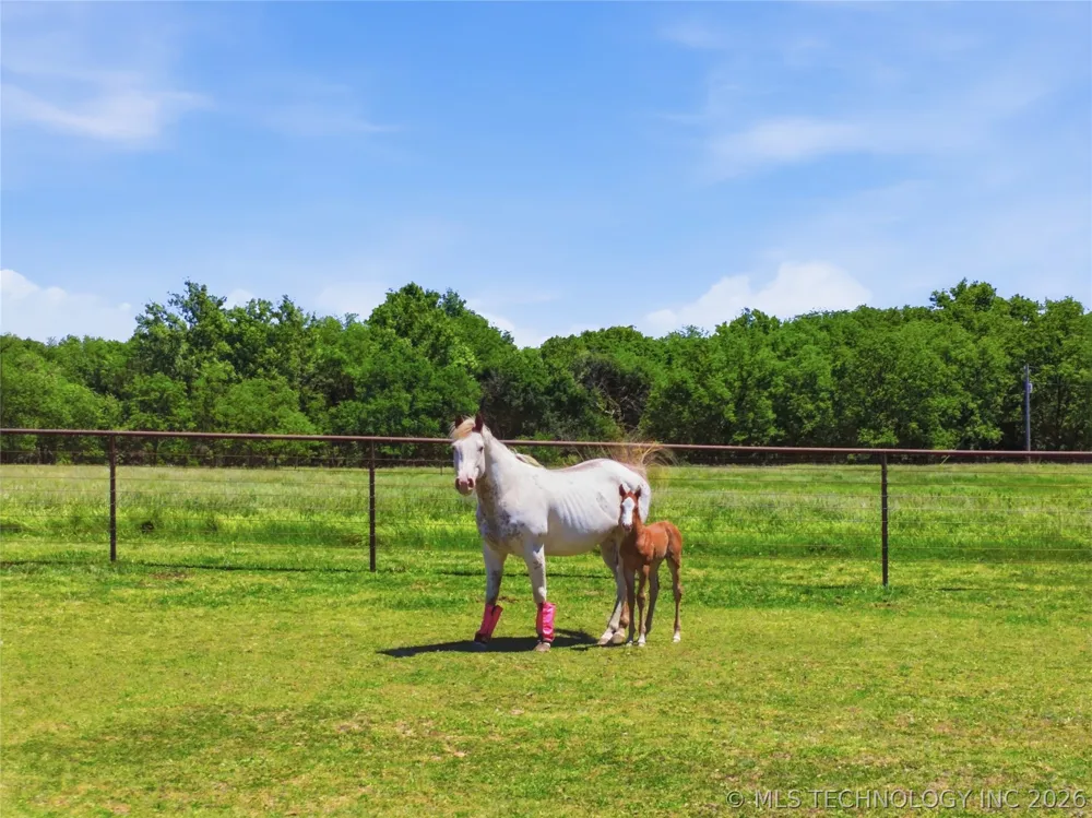 394850 W 4000 ROAD Skiatook, OK 74070