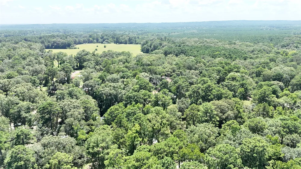 460 Admiral Drive Hemphill, TX 75948