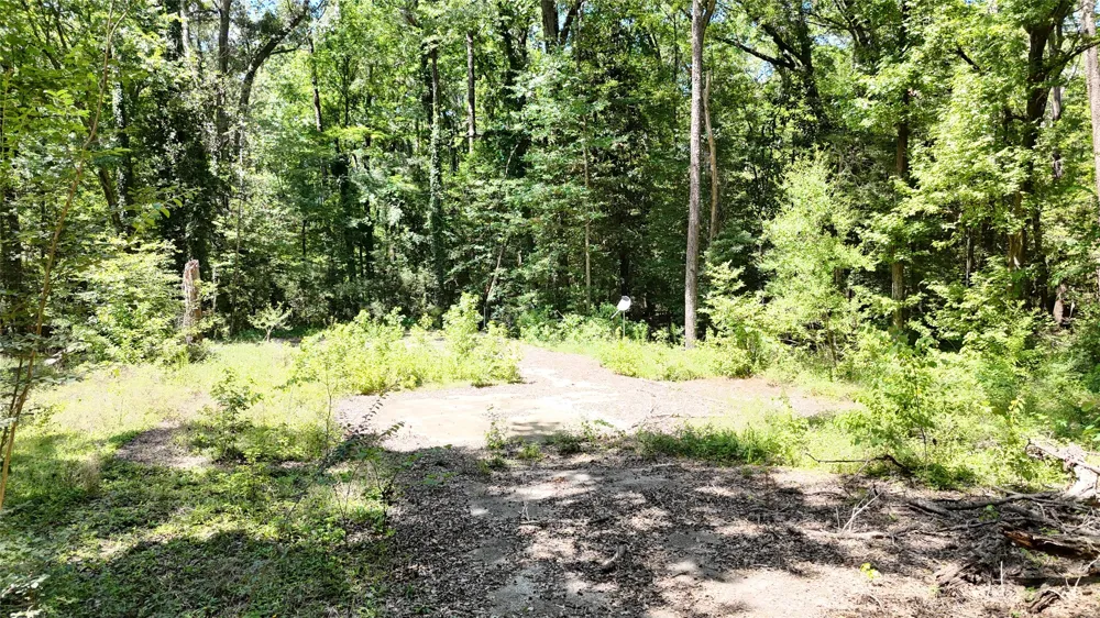 460 Admiral Drive Hemphill, TX 75948