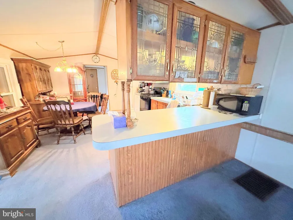 26482 PONTOON ROAD #E-920 Long Neck, DE 19966