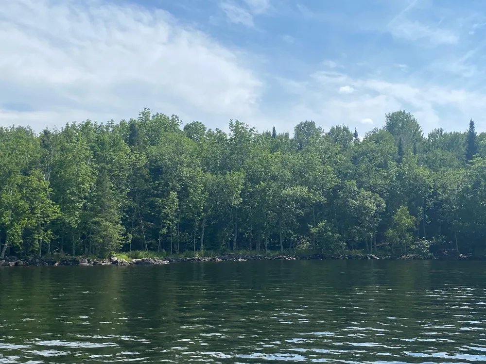 Parcel B Taylors Island Lake Vermilion Cook, MN 55723