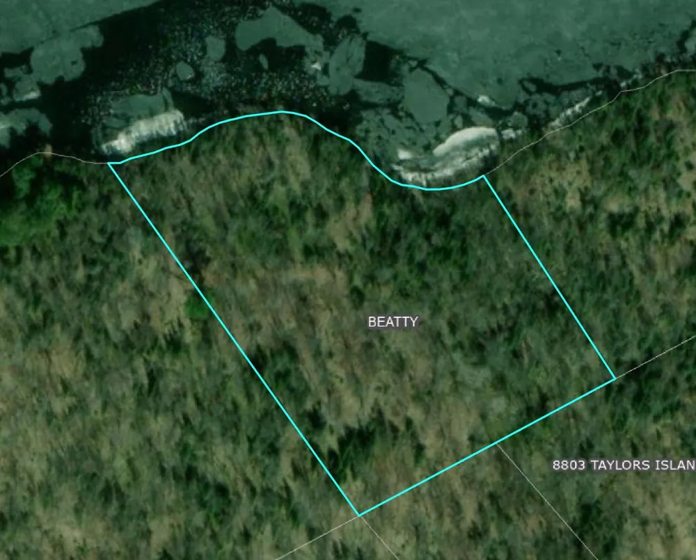 Parcel B Taylors Island Lake Vermilion Cook, MN 55723