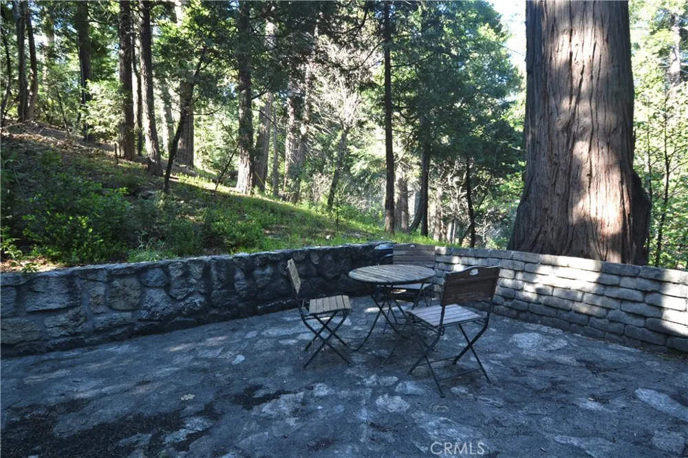 27245 Little Bear Blue Jay, CA 92317