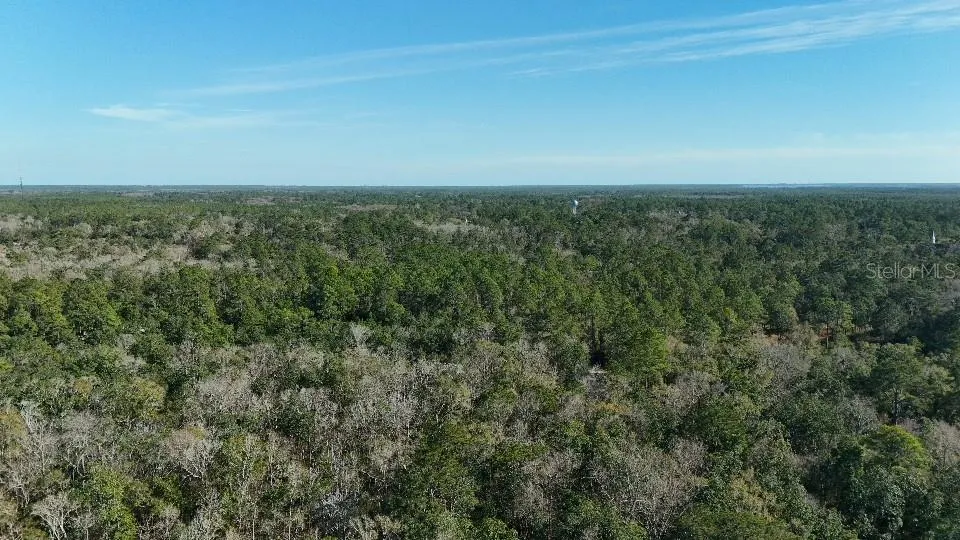 CHEROKEE DRIVE Sopchoppy, FL 32358