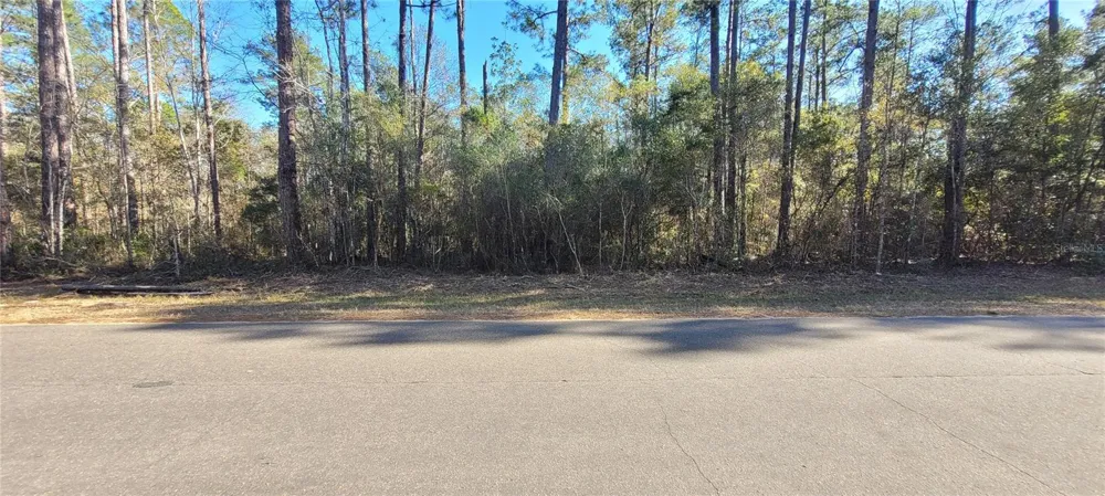 CHEROKEE DRIVE Sopchoppy, FL 32358