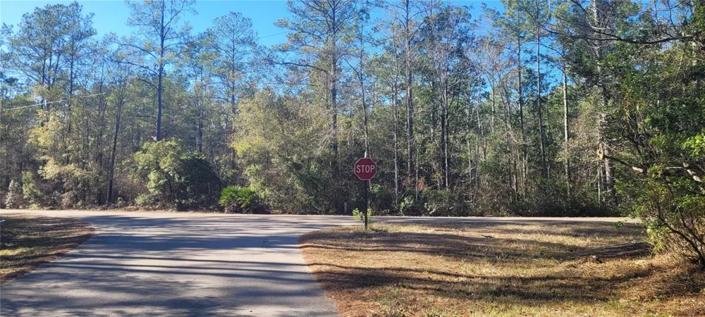 CHEROKEE DRIVE Sopchoppy, FL 32358
