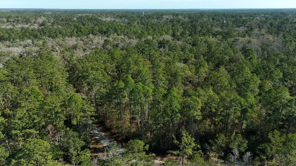0 CHEROKEE DRIVE Sopchoppy, FL 32358