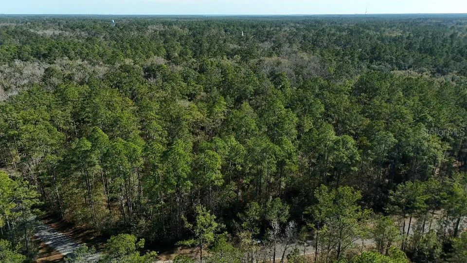 0 CHEROKEE DRIVE Sopchoppy, FL 32358