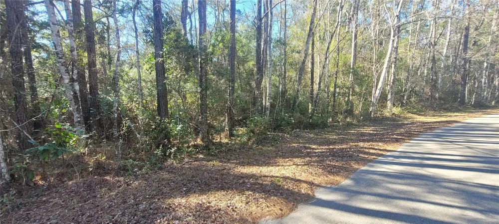 0 CHEROKEE DRIVE Sopchoppy, FL 32358