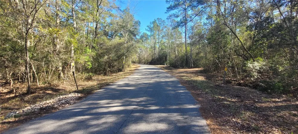 0 CHEROKEE DRIVE Sopchoppy, FL 32358