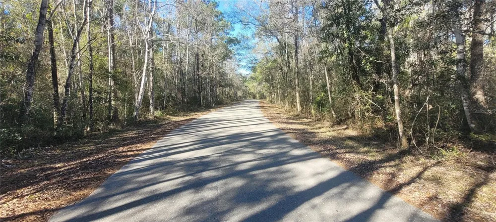 0 CHEROKEE DRIVE Sopchoppy, FL 32358