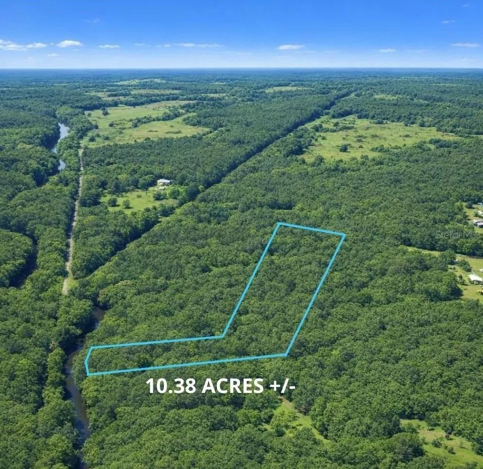 0 CHEROKEE DRIVE Sopchoppy, FL 32358