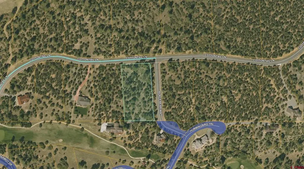 5 Cottontail Lane Ridgway, CO 81432