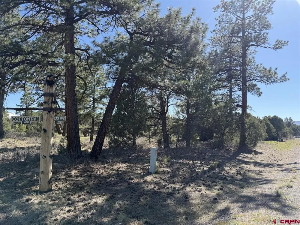5 Cottontail Lane Ridgway, CO 81432
