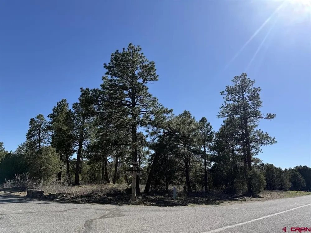 5 Cottontail Lane Ridgway, CO 81432