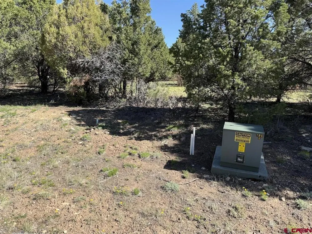 5 Cottontail Lane Ridgway, CO 81432