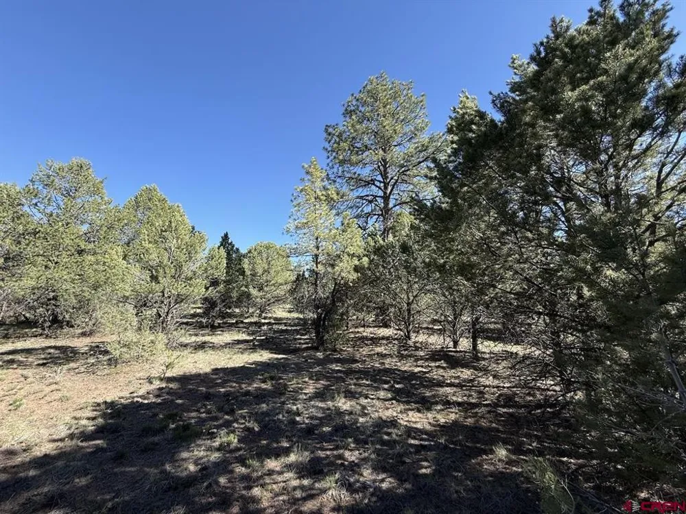 5 Cottontail Lane Ridgway, CO 81432