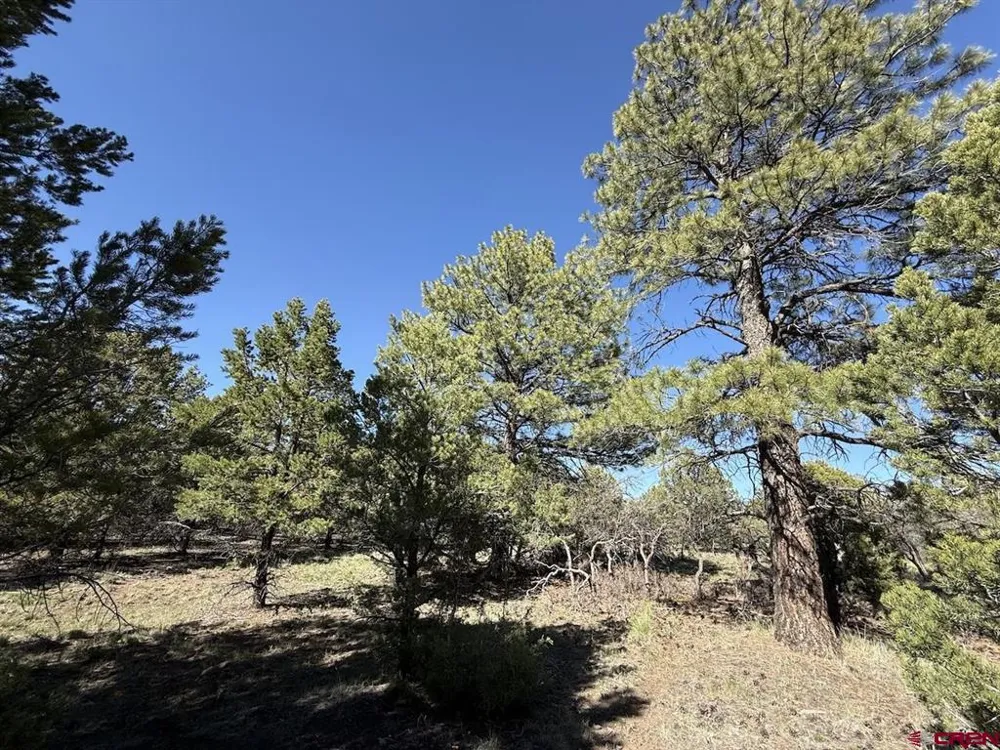 5 Cottontail Lane Ridgway, CO 81432