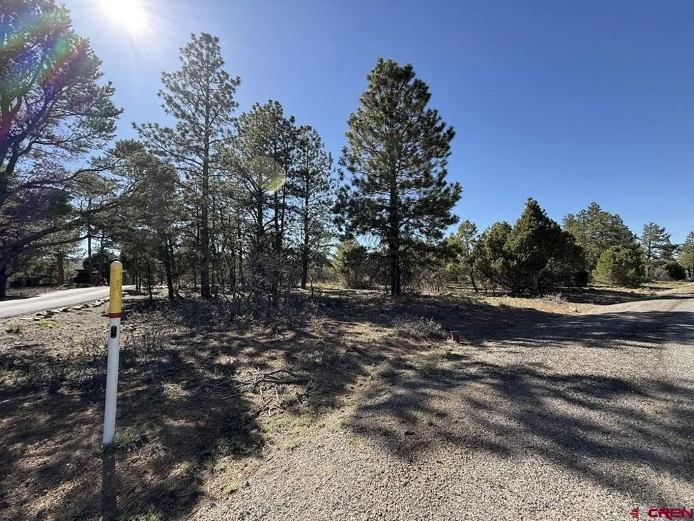 5 Cottontail Lane Ridgway, CO 81432